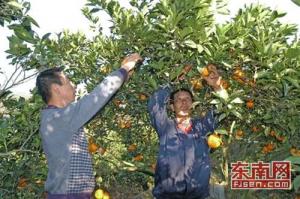 关于哪些车险让你不再为车担忧的在职研究生毕业论文范文