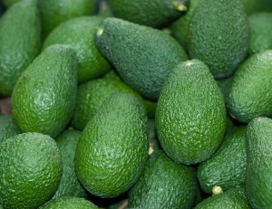 avocado_69588181