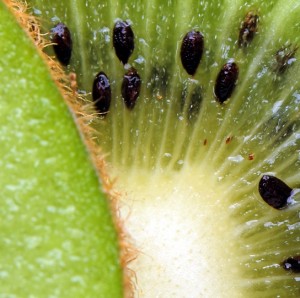 Kiwifruit-close-up-300x298