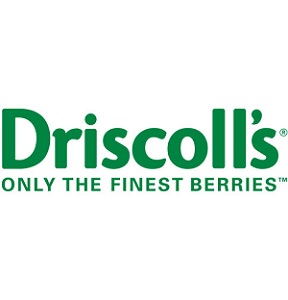 driscolls