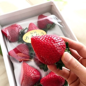 图片:Amaou草莓