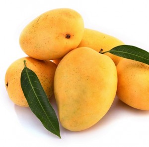 mango_47852692-sq-300x297