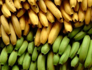 bananas_z-300x230