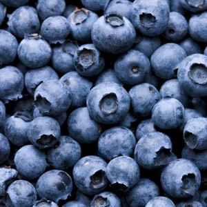 blueberry_46420153-300x300