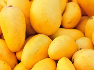 shutterstock_120621661-mangoes-panorama