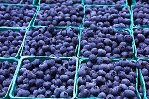blueberries_shutterstock_headline