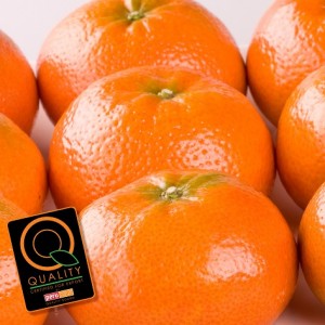 ProCitrus-banner-sello-sq
