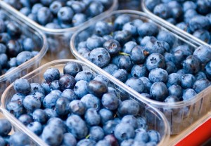 blueberries_90118393-panorama