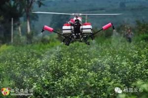“直升机”飞进栖霞苹果种植基地，真是太牛了！