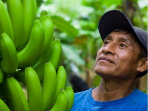 Banana-grower-Fairtrade-International