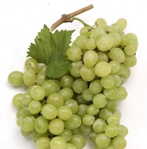 grapes-square-1-296x300